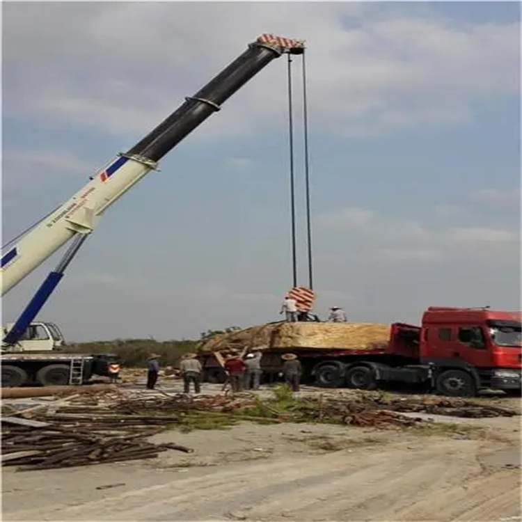 沧州重型设备吊装